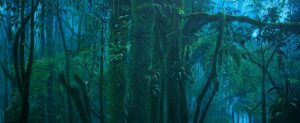 Cool and Mysterious V, 76cm x 188cm (30 in x 74 in)