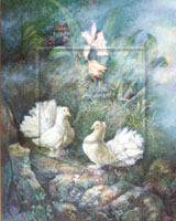 Nat peace doves